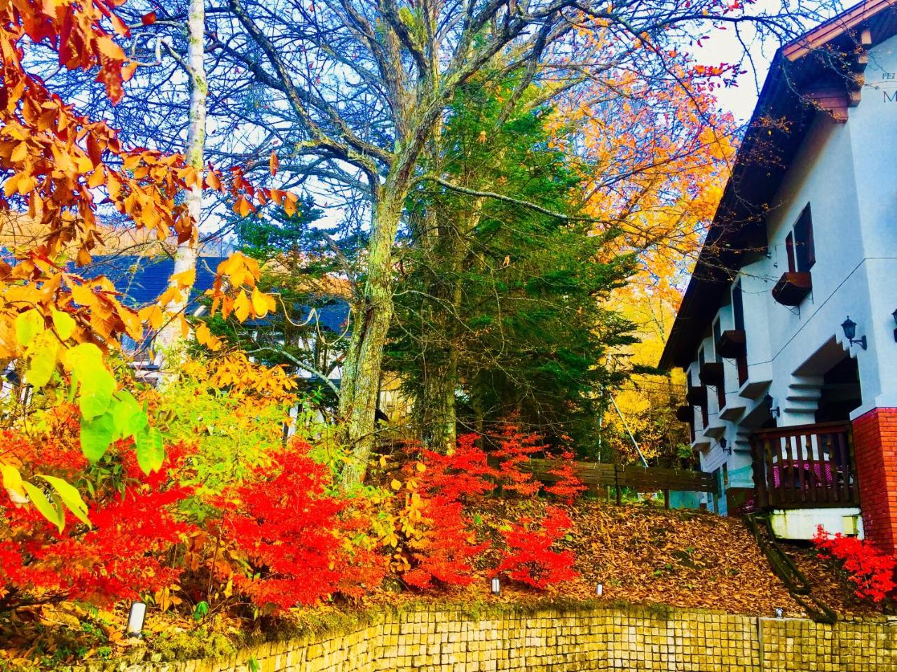 酒店 白樺湖榮園 茅野